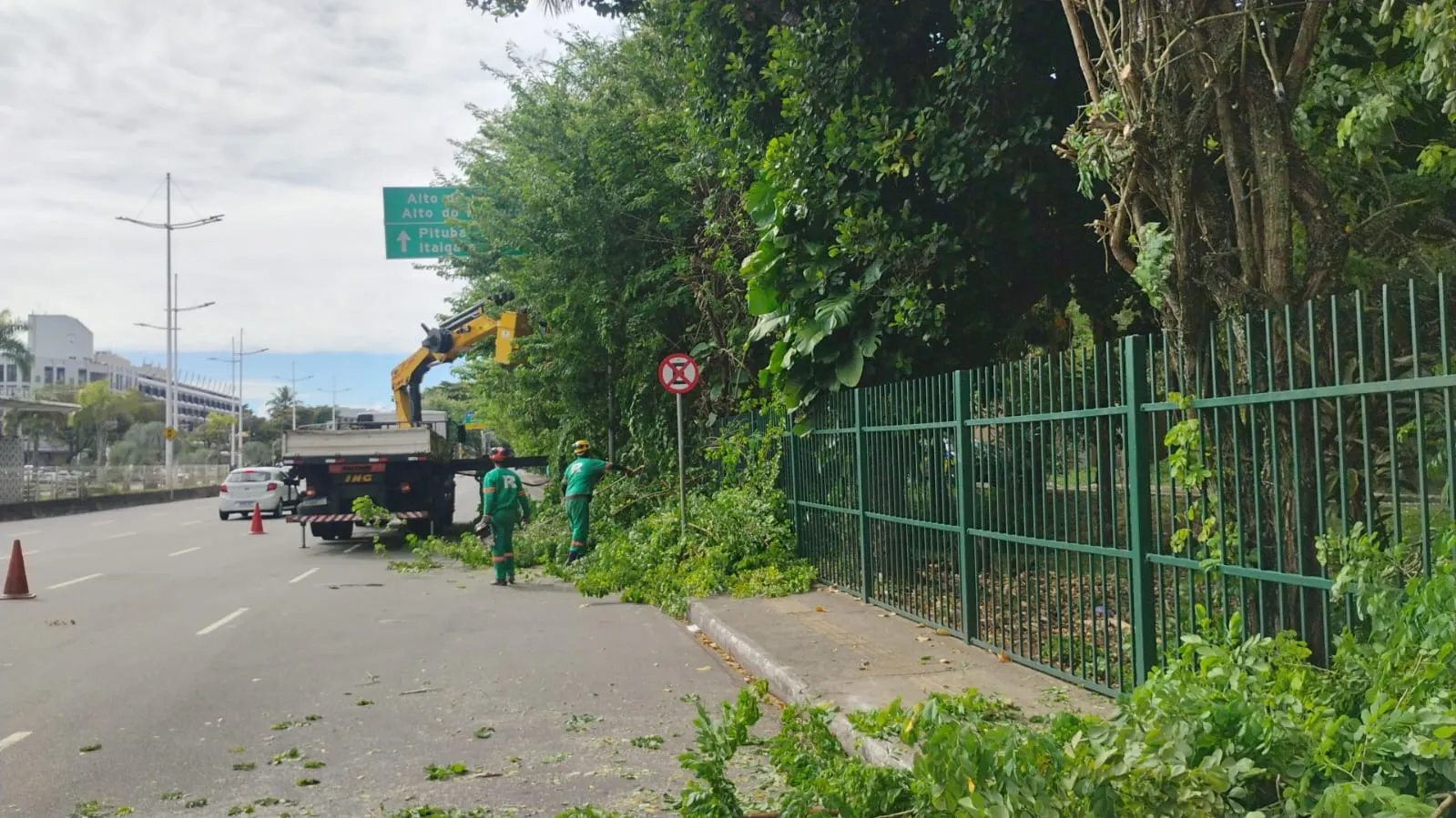 Manutenção e Conservação de Áreas Verdes — imagem 2