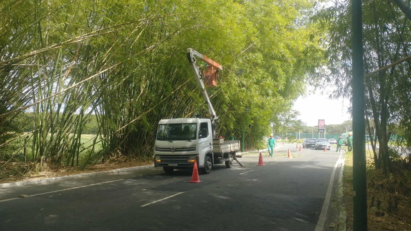 Manutenção de Áreas Verdes