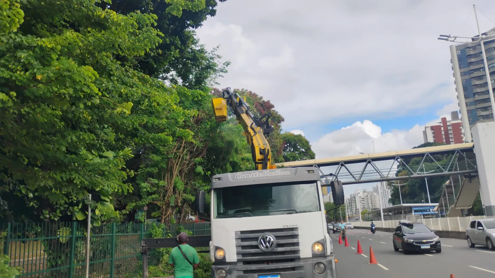 Manutenção e Conservação de Áreas Verdes — imagem 4